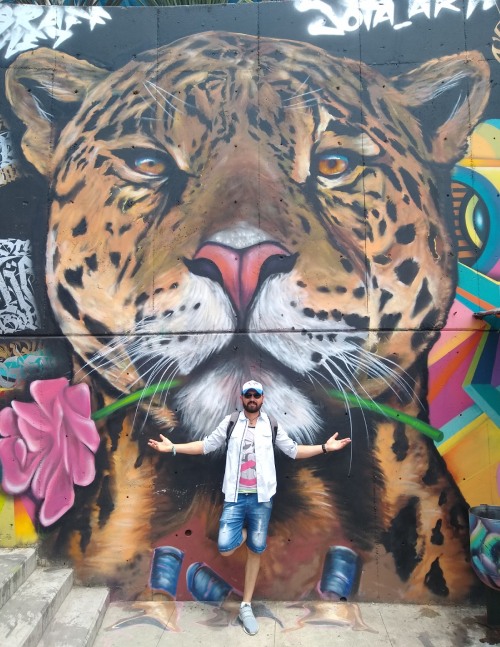 Mural Medellin Colombia Agencia de Viajes Piscis